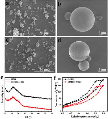 Dimethyloxallyl glycine-loaded mesoporous bioactive glass/poly(D,L-lactide) composite scaffolds with ultrasound stimulation for promoting bone repair